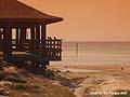 Guy Fanguy - Artist - Photographer - Guy Fanguy - Towns - Mississippi - Waveland (15).jpg Size: 47841 - 7